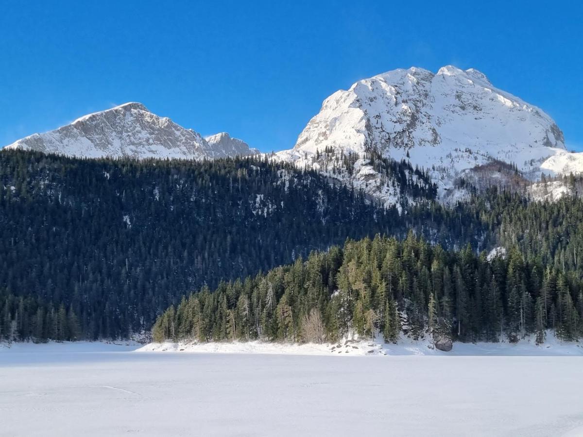 Black Lake Chalet Žabljak Eksteriør billede