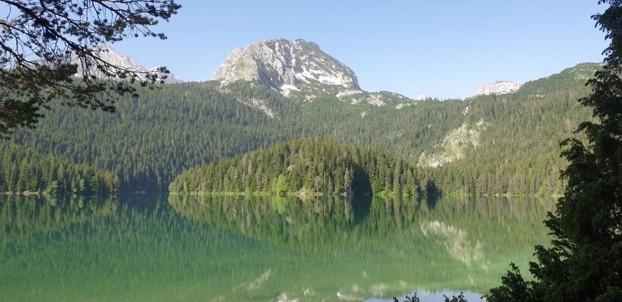Black Lake Chalet Žabljak Eksteriør billede