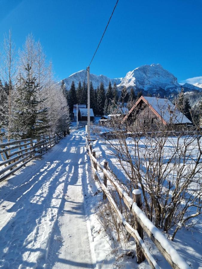 Black Lake Chalet Žabljak Eksteriør billede