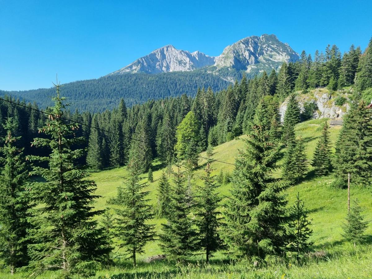 Black Lake Chalet Žabljak Eksteriør billede
