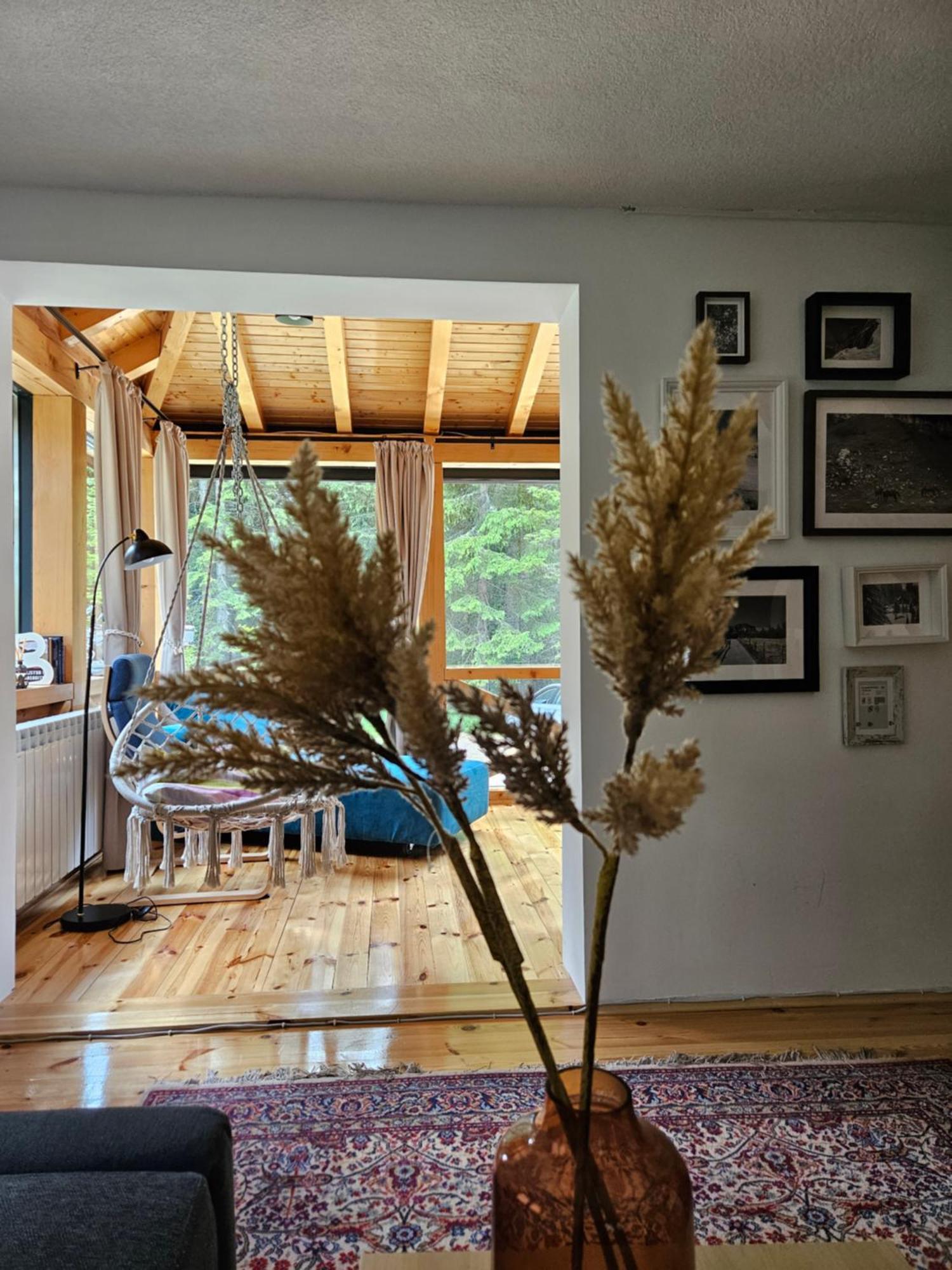 Black Lake Chalet Žabljak Eksteriør billede