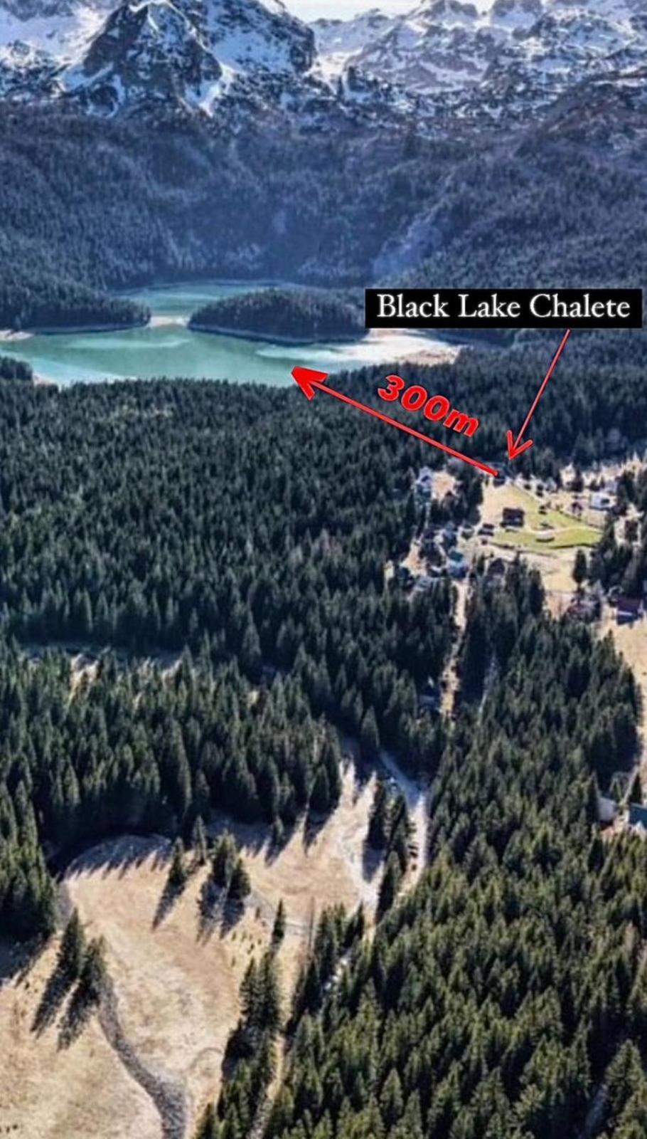 Black Lake Chalet Žabljak Eksteriør billede