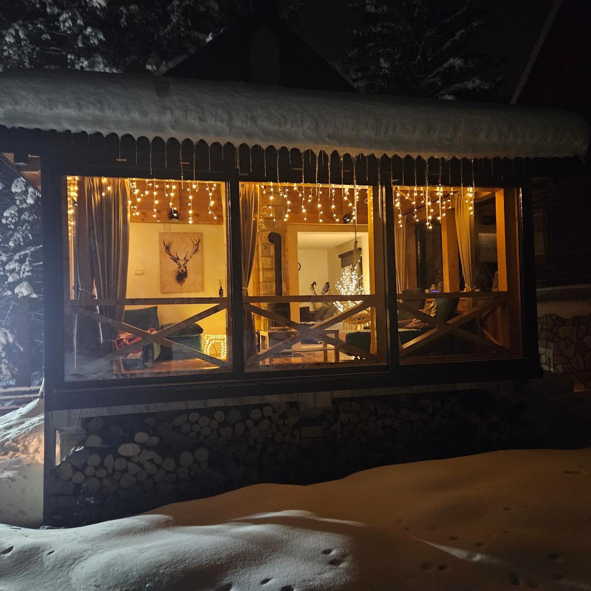 Black Lake Chalet Žabljak Eksteriør billede