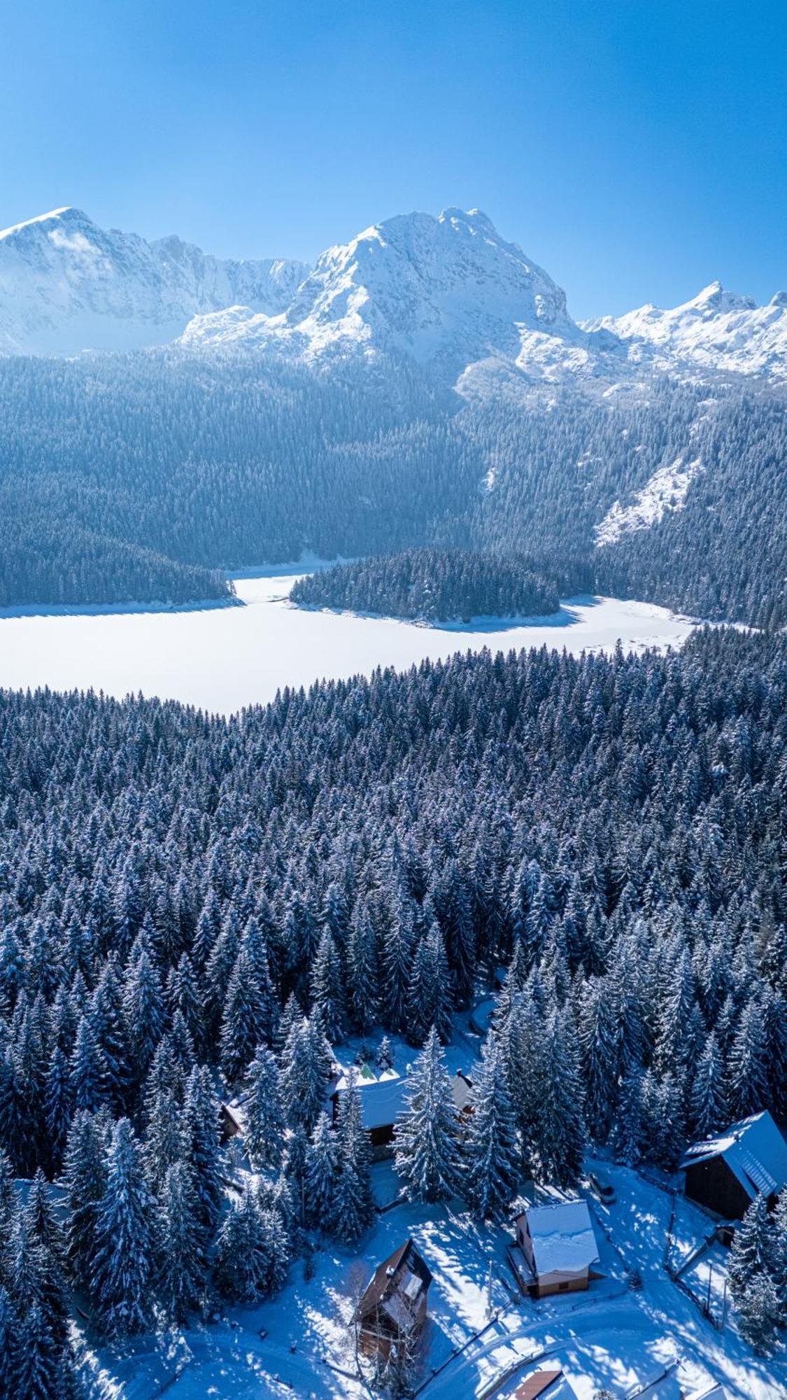 Black Lake Chalet Žabljak Eksteriør billede